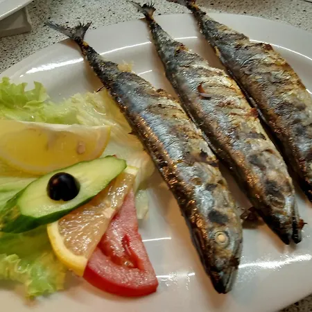Oasis Kiten (Burgas)