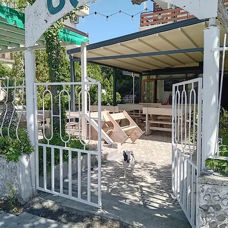 Oasis 2*