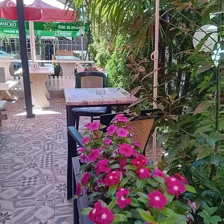 Oasis Guest house 2*