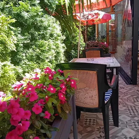 Guest house Oasis 2*