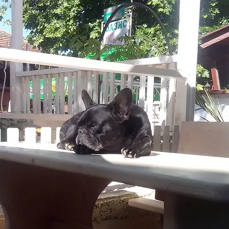 Πανσιόν Oasis