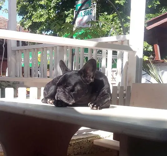 ゲストハウス Oasis